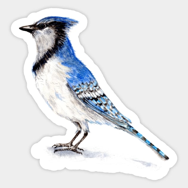 Blue Jay Sticker by Goosi